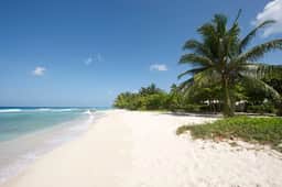 Palm Beach 110 - Imagen 4