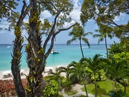 Coral Cove 8 – Life’s a Beach - Imagen 4