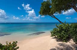 Mahogany Bay - Seashells - Imagen 4