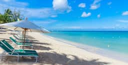 Coral Cove 1 - Imagen 4
