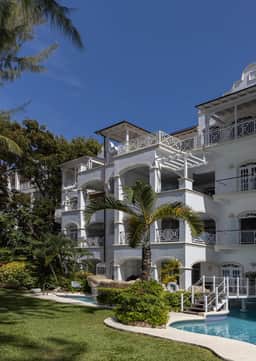 Old Trees 302 – La Mirage - Image 3