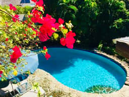 Hummingbird Villa - Image 3