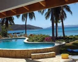 Sea Palms - Image 4