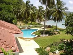 Sea Palms - Image 5