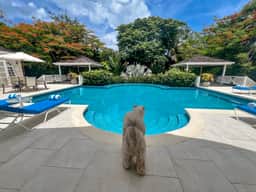 Sandy Lane House - Image 4