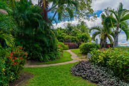 Coral Cove 9 – Beachi - Imagen 5