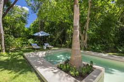 Palm Villa - Imagen 5