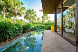 Palm West - Image 5