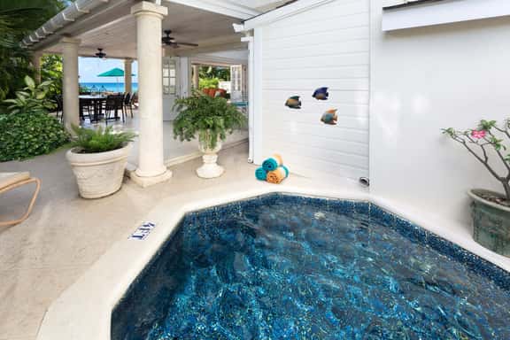 Mahogany Bay - Seashells - Imagen 1