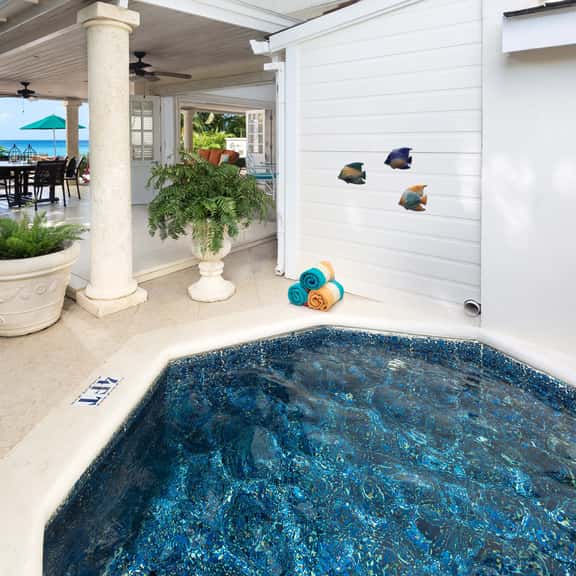 Mahogany Bay - Seashells - Imagen 1
