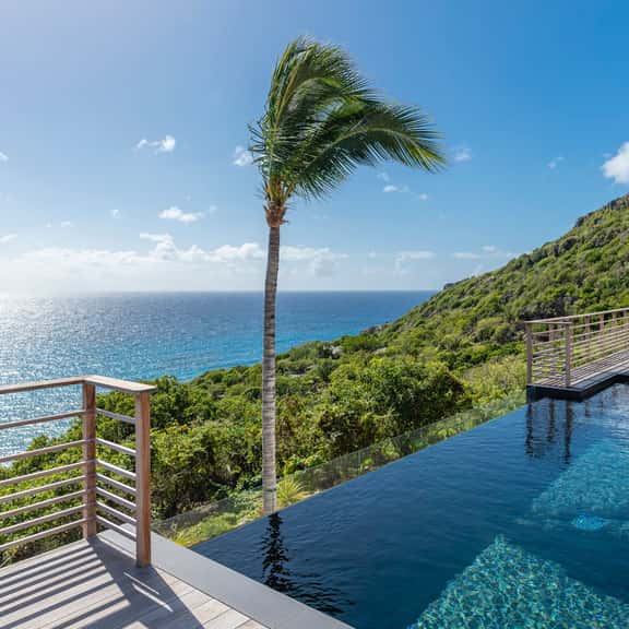 Ocean Palm - Imagen 1