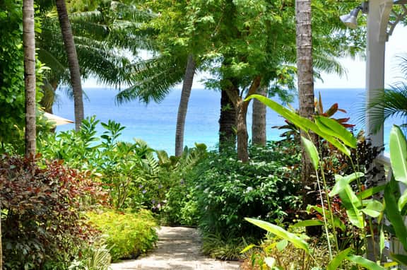 Secret Cove 1 - Imagen 4