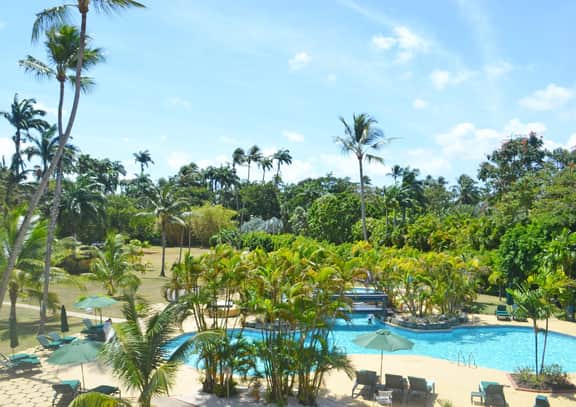 Glitter Bay 306 - Imagen 2