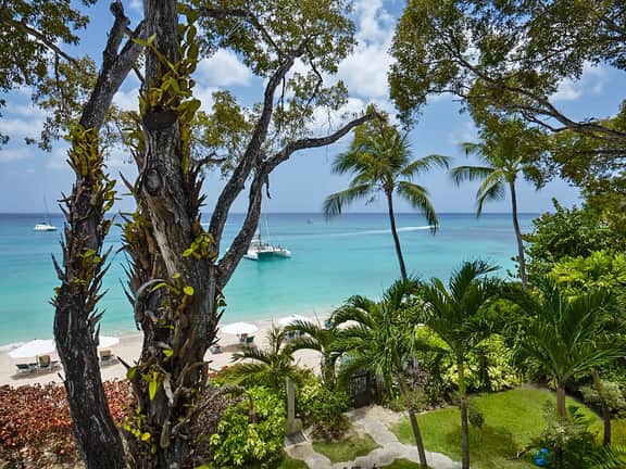 Coral Cove 8 – Life’s a Beach - Imagen 4