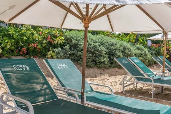 Coral Cove 8 – Life’s a Beach - Imagen 5