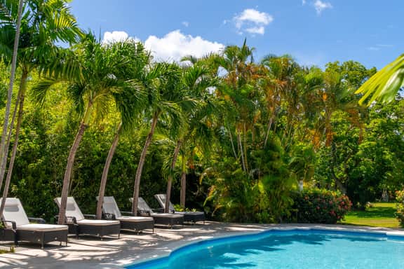 Palm Tree Villa - Image 3