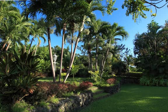 Sandy Lane - Vistamar - Imagen 5