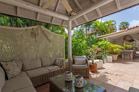 Coconut Shell - Image 5