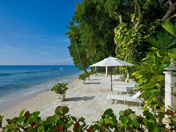 Mango Bay - Image 4