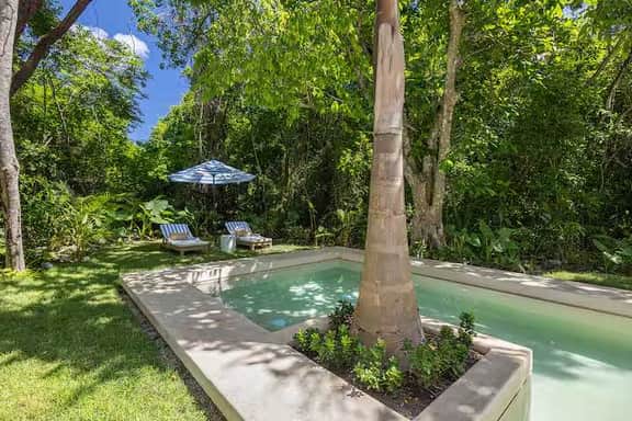 Palm Villa - Imagen 5